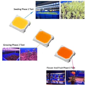 Spectru complet SMD LED 2835 3V 120ma Crească Chip de LED-uri Speciale Pentru a Crește Lumina Semănat Faza de Creștere, Faza de Flori și Fructe Faza