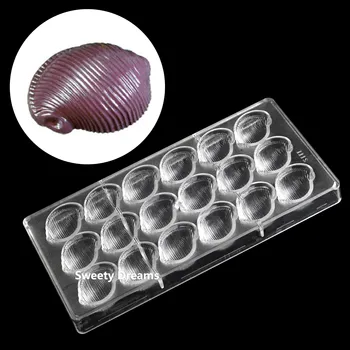 Conch Shell Viața Marină Policarbonat Mucegai Ciocolata Dulciuri Belgia Copt Bomboane Mucegai Tăvi Bakeware Produse De Patiserie Instrument