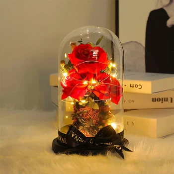 Nemuritoare a Crescut Cupolă de Sticlă cu LED Șir de Lumini Romantice Veșnică Flori Pentru Ziua Îndrăgostiților, Ziua Mamei Nunta, Cadou de Ziua de nastere