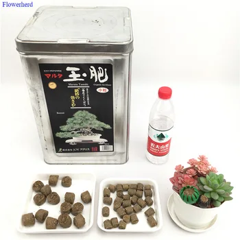 Jade Îngrășământ Japonia Importate Ingrasamant Bonsai Ghiveci De Grădinărit Familie De Relief Îngrășământ Îngrășământ Organic Particule