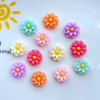 30Pcs Noul Mini Floret Spate Plat Rășină Album Kawaii DIY Acasă Mobilier Ornamente Ac de păr Accesorii