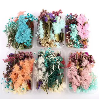 Colorate Real De Flori Uscate De Plante Pentru A Face Aromoterapie Lumanari Flori Uscate Pentru Decorare Mai Mult De 10 De Tipuri De Flori Uscate