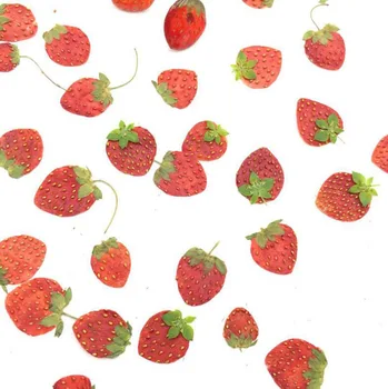 10 buc Uscate Presate Mini Fructe Capsuni Piele Felii de Plante Ierbar Pentru Bijuterii cu Rama Foto Telefon Caz Marcaj Face DIY