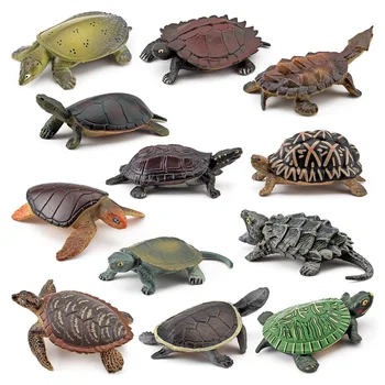 Simulare Ocean Reptile Animal Broasca Testoasa De Mare Serie Model În Miniatură Cifrele De Acțiune Figurina De Colectie Cunoaștere Creativitate Jucarii