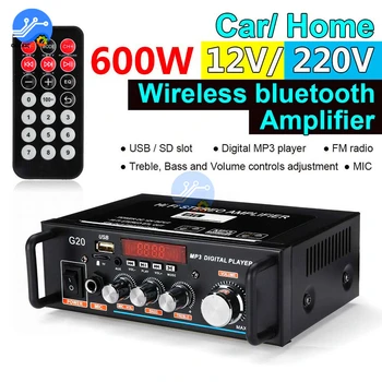 NE-Priza 220V 600W DIY kit amplificator pentru difuzoare echipamente de sunet home muzica stereo subwoofer amplificator de control al volumului pentru masina